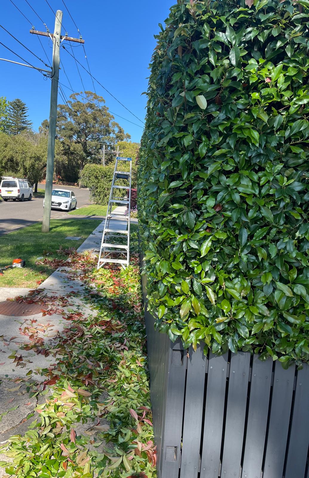 Hedging & Pruning